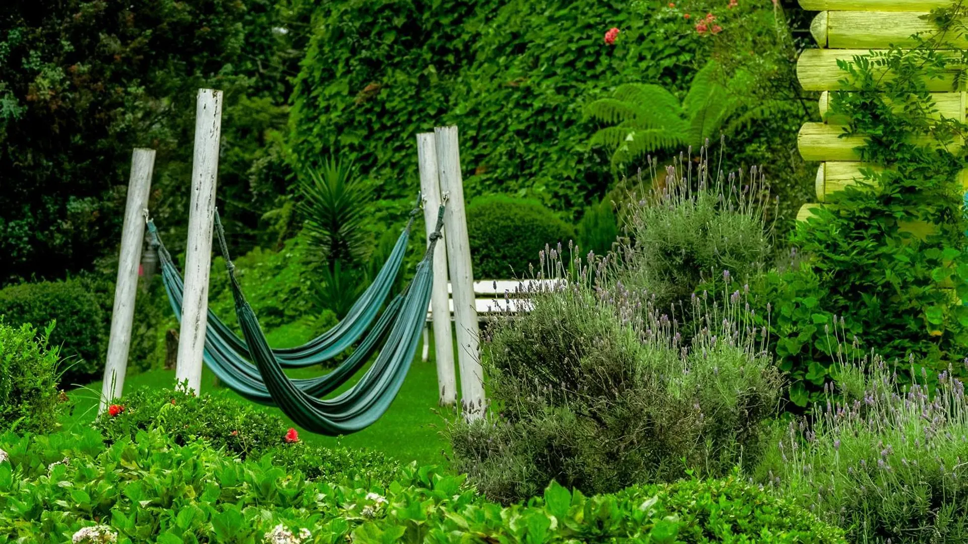 Bed & Breakfast Velinn Pousada Casa De Campos Capivari House Campos do Jordao